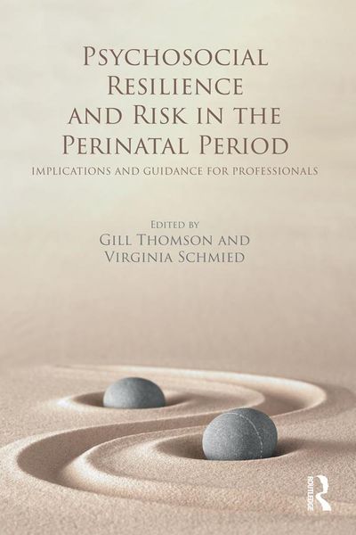 Produktbild: Psychosocial Resilience and Risk in the Perinatal Period
