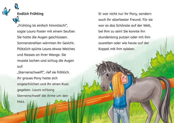 Sternenschweif, Bücherhelden 2. Klasse, Fest auf dem Ponyhof