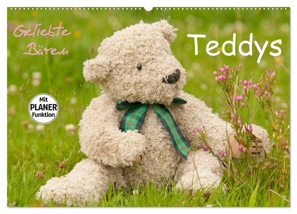 Produktbild: Geliebte B&auml;ren - Teddys (Wandkalender 2026 DIN A2 quer), CALVENDO Monatskalender