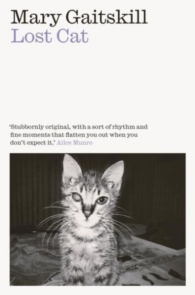 Produktbild: Lost Cat