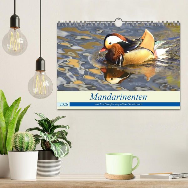 Produktbild: Mandarinenten, ein Farbtupfer auf allen Gew&auml;ssern. (Wandkalender 2026 DIN A4 quer), CALVENDO Monatskalender