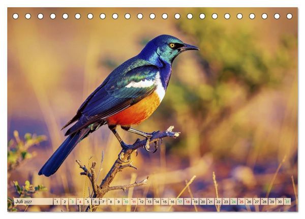 Produktbild: Die buntesten Tiere - Weltweit (Tischkalender 2027 DIN A5 quer), CALVENDO Monatskalender