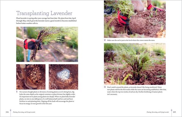 Produktbild: The Lavender Companion