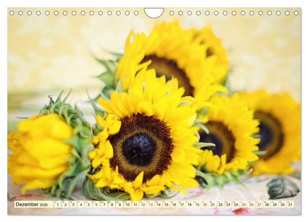 Produktbild: Sonnenblumen. Das Strahlen des Sommers (Wandkalender 2026 DIN A4 quer), CALVENDO Monatskalender
