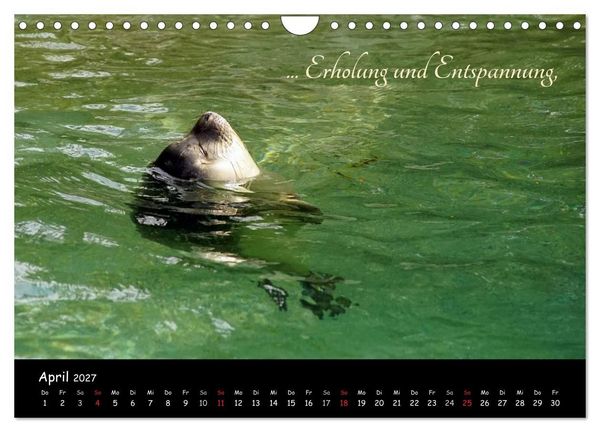 Produktbild: Gut gelaunt durch's Rentenjahr (Wandkalender 2027 DIN A4 quer), CALVENDO Monatskalender