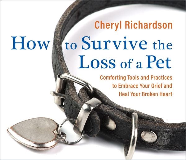 Produktbild: How to Survive the Loss of a Pet