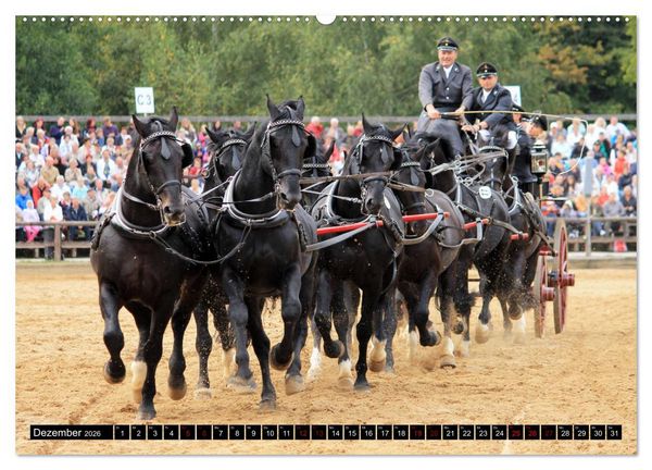 Produktbild: Schwere Warmbl&uuml;ter 2026 (hochwertiger Premium Wandkalender 2026 DIN A2 quer), Kunstdruck in Hochglanz