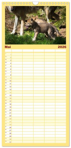 Produktbild: Familienplaner 2026 - Tierbabys 2026 mit 5 Spalten (Wandkalender, 21 x 45 cm) CALVENDO