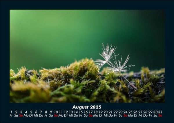 Produktbild: Bilder aus der Natur 2025 Fotokalender DIN A5