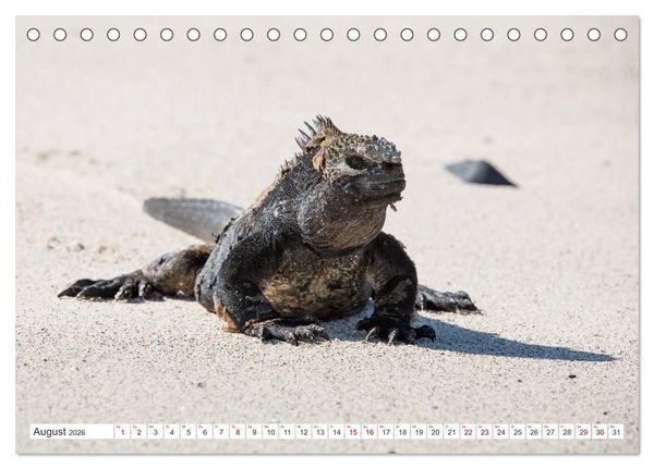 Produktbild: Galapagos-Inseln - Ein Paradies f&uuml;r Tiere (Tischkalender 2026 DIN A5 quer), CALVENDO Monatskalender