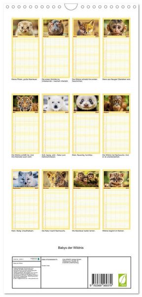 Produktbild: Familienplaner 2027 - Babys der Wildnis mit 5 Spalten (Wandkalender, 21 x 45 cm) CALVENDO