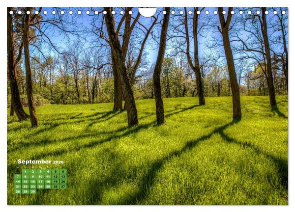 Produktbild: Park Sch&ouml;nbusch Aschaffenburg (Wandkalender 2026 DIN A4 quer), CALVENDO Monatskalender
