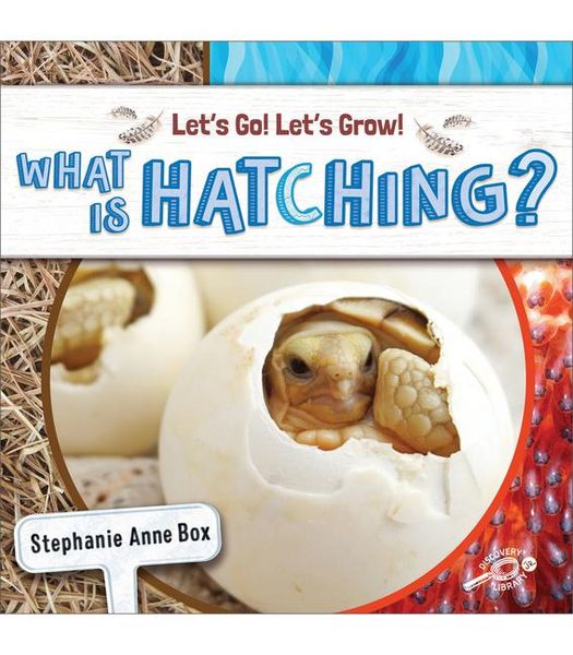 Produktbild: What Is Hatching?
