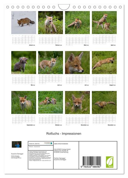 Produktbild: Rotfuchs - Impressionen (Wandkalender 2026 DIN A4 hoch), CALVENDO Monatskalender