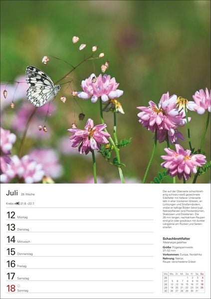 Produktbild: Heimische Tiere Wochenplaner 2027 - 53 faszinierende Fotografien
