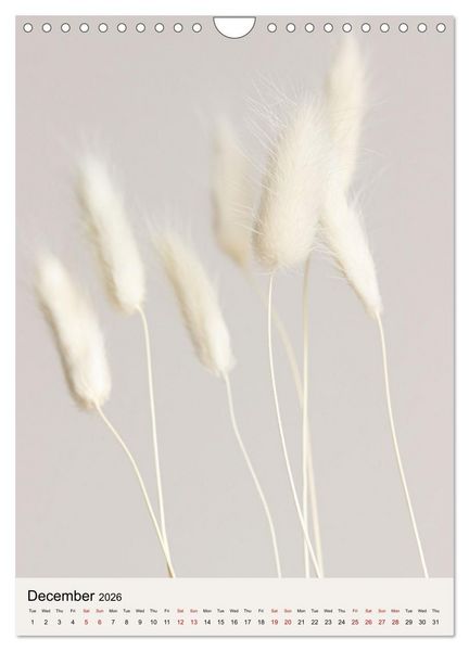 Produktbild: Dried Flowers (Wall Calendar 2026 DIN A4 portrait), CALVENDO 12 Month Wall Calendar