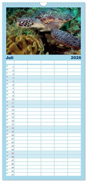 Produktbild: Familienplaner 2026 - Schildkr&ouml;ten des Ozeans mit 5 Spalten (Wandkalender, 21 x 45 cm) CALVENDO
