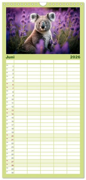 Produktbild: Familienplaner 2026 - Die Koalas sind los! Ein Jahr voller B&auml;renspa&szlig; mit 5 Spalten (Wandkalender, 21 x 45 cm) CALVENDO