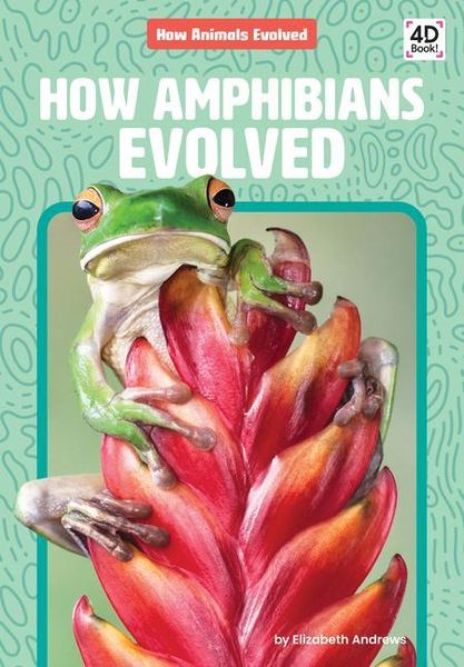 Produktbild: How Amphibians Evolved