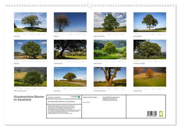 Produktbild: Wundersch&ouml;ne B&auml;ume im Sauerland (Wandkalender 2026 DIN A2 quer), CALVENDO Monatskalender