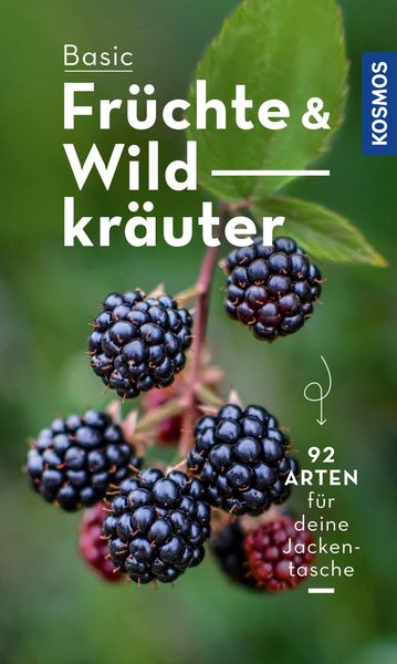 Produktbild: BASIC Früchte und Wildkräuter