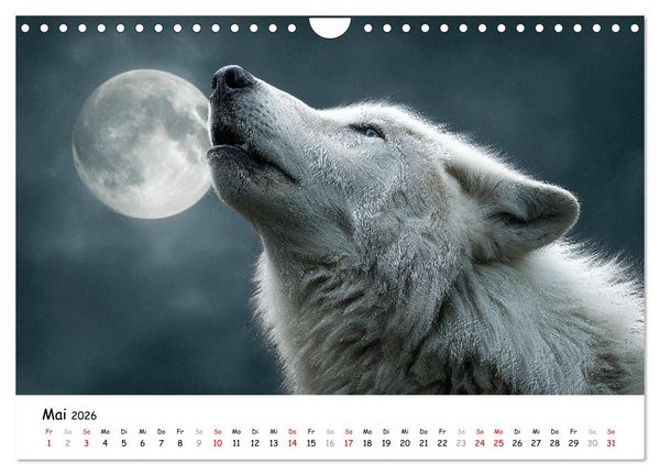Produktbild: W&ouml;lfe im Mondlicht - Ruf der Wildnis (Wandkalender 2026 DIN A4 quer), CALVENDO Monatskalender