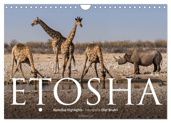 Produktbild: ETOSHA &ndash; Namibia Highlights (Wandkalender 2026 DIN A4 quer), CALVENDO Monatskalender