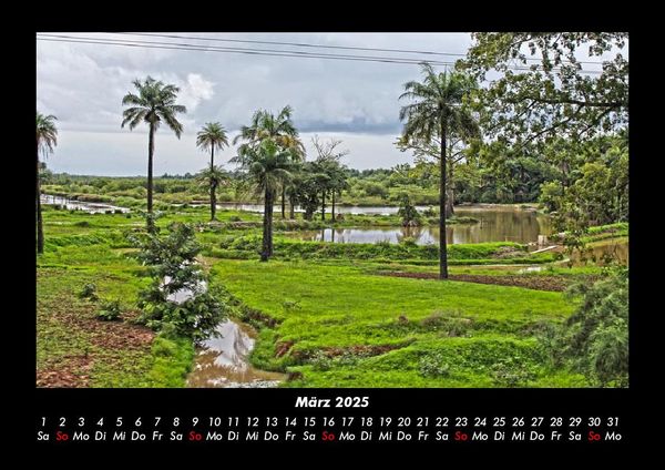 Produktbild: Palmentraum 2025 Fotokalender DIN A3