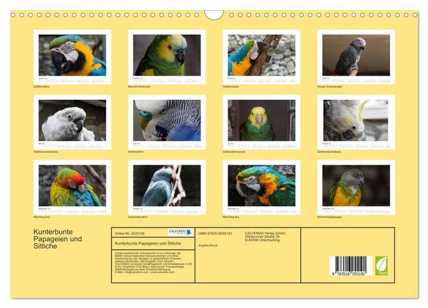 Produktbild: Kunterbunte Papageien und Sittiche (Wandkalender 2026 DIN A3 quer), CALVENDO Monatskalender