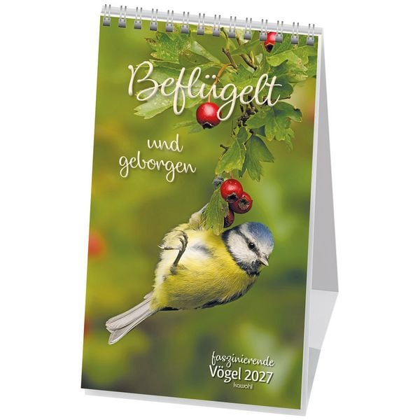 Produktbild: Befl&uuml;gelt und geborgen 2027