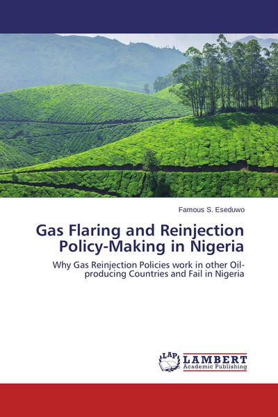 Produktbild: Gas Flaring and Reinjection Policy-Making in Nigeria