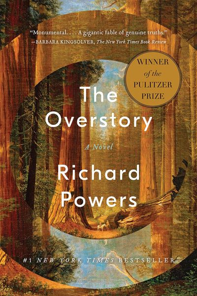 Produktbild: The Overstory