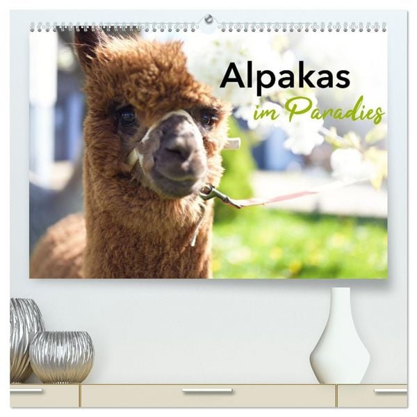 Produktbild: Alpakas im Paradies (hochwertiger Premium Wandkalender 2026 DIN A2 quer), Kunstdruck in Hochglanz