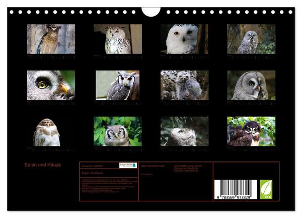 Produktbild: Eulen und K&auml;uze (Wandkalender 2027 DIN A4 quer), CALVENDO Monatskalender