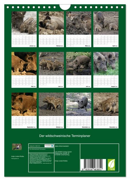 Produktbild: Der wildschweinische Terminplaner (Wandkalender 2026 DIN A4 hoch), CALVENDO Monatskalender