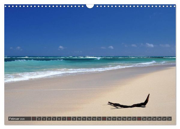 Produktbild: Ich will Meer ! (Wandkalender 2026 DIN A3 quer), CALVENDO Monatskalender