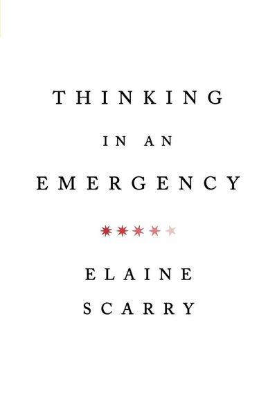 Produktbild: Thinking in an Emergency