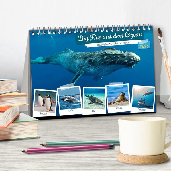 Produktbild: Big Five aus dem Ozean Hai, Delphin, Wal, Robbe, Pinguin (Tischkalender 2026 DIN A5 quer), CALVENDO Monatskalender