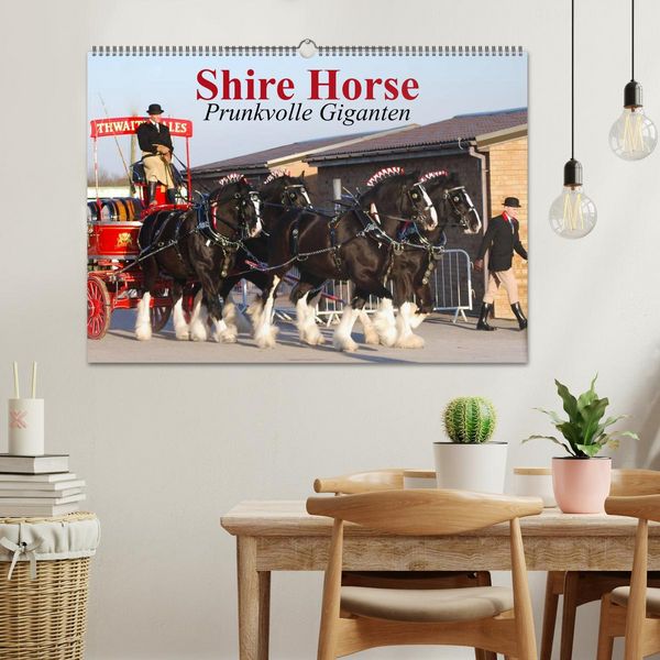 Produktbild: Shire Horse &bull; Prunkvolle Giganten (Wandkalender 2026 DIN A2 quer), CALVENDO Monatskalender