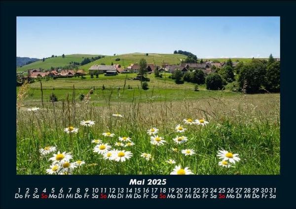 Produktbild: Blumenkalender 2025 Fotokalender DIN A5