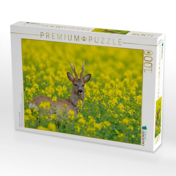 Produktbild: CALVENDO Puzzle Rehbock in einem Rapsfeld | 1000 Teile Lege-Gr&ouml;&szlig;e 64x48cm Foto-Puzzle f&uuml;r gl&uuml;ckliche Stunden