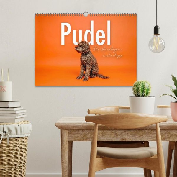 Produktbild: Pudel - Die flauschigen Lockenk&ouml;pfe. (Wandkalender 2026 DIN A3 quer), CALVENDO Monatskalender