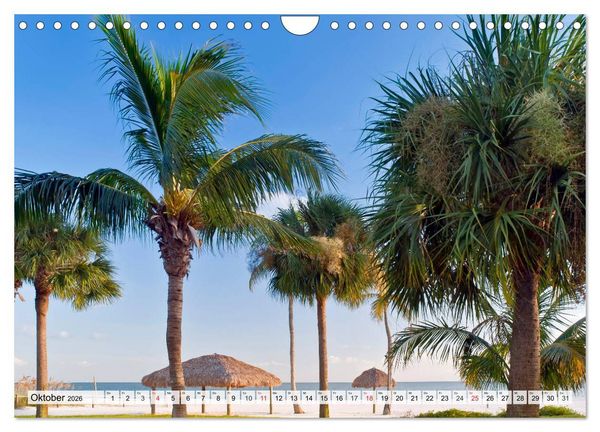 Produktbild: FLORIDA Paradiesischer Sonnenscheinstaat (Wandkalender 2026 DIN A4 quer), CALVENDO Monatskalender