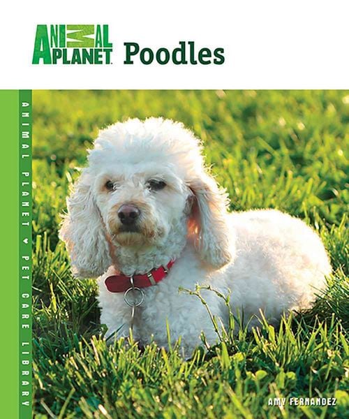 Produktbild: Poodles