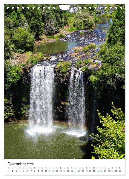 Produktbild: Regenwald - Australien (Wandkalender 2026 DIN A4 hoch), CALVENDO Monatskalender