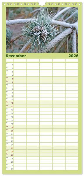 Produktbild: Familienplaner 2026 - Die Sch&ouml;nheit der Jahreszeiten, Sehnsucht nach Farbe und Leichtigkeit mit 5 Spalten (Wandkalender, 21 x 45 cm) CALVENDO
