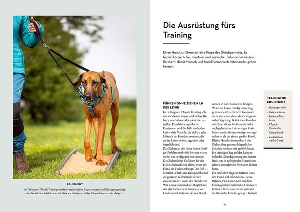 Produktbild: Tellington-Training f&uuml;r Hunde