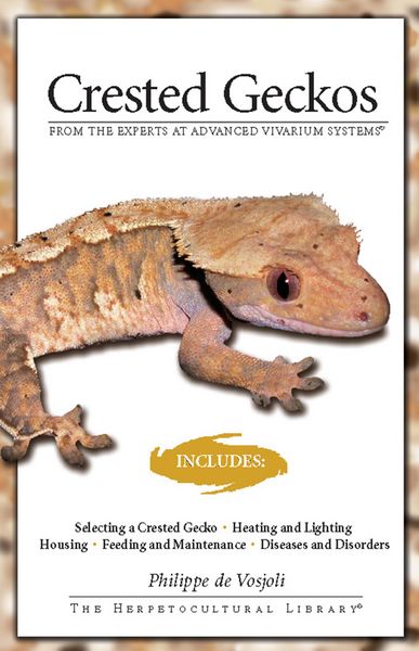 Produktbild: Crested Geckos