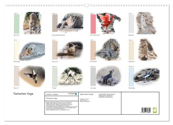 Produktbild: Tierisches Yoga (Wandkalender 2026 DIN A2 quer), CALVENDO Monatskalender