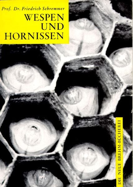 Wespen und Hornissen